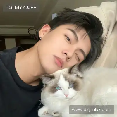 何鹰辉
